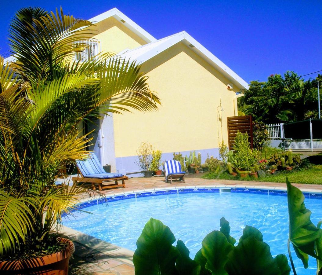 Villa Arbre Du Voyageur, 4 Etoiles Et 4 Clevacances Noël Dış mekan fotoğraf